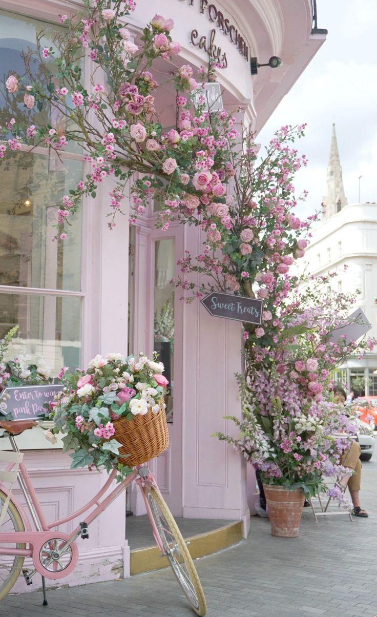 Celestial Blooms: Star-Kissed Petal Symphony